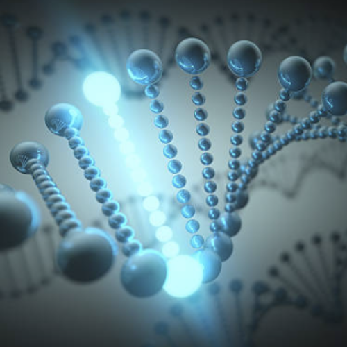 Screenshot 2026-01-21 at 10.23.57 pm